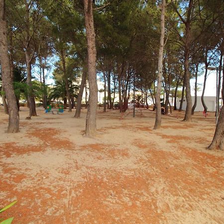 Family Seafront Apt Fantastic Seaview Pollensa Exterior foto